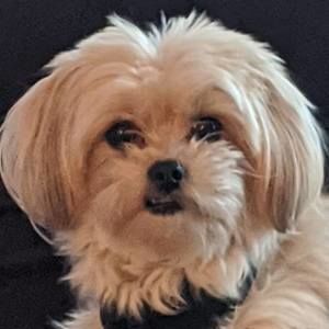 Meet your Posher, Angie